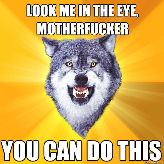 Look me in the eye, motherfucker YOU CAN DO THIS  Courage Wolf