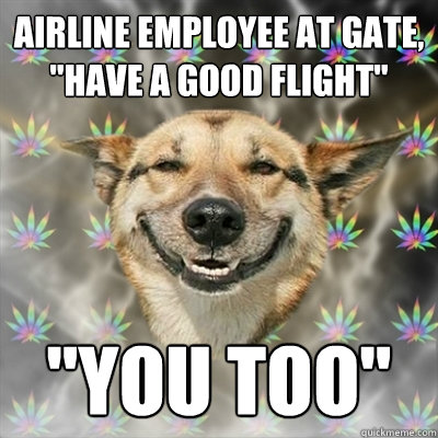 airline employee at gate, 