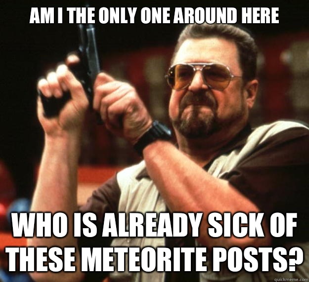 AM I THE ONLY ONE AROUND HERE WHO IS ALREADY SICK OF THESE METEORITE POSTS?  Big Lebowski