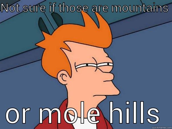 NOT SURE IF THOSE ARE MOUNTAINS OR MOLE HILLS Futurama Fry