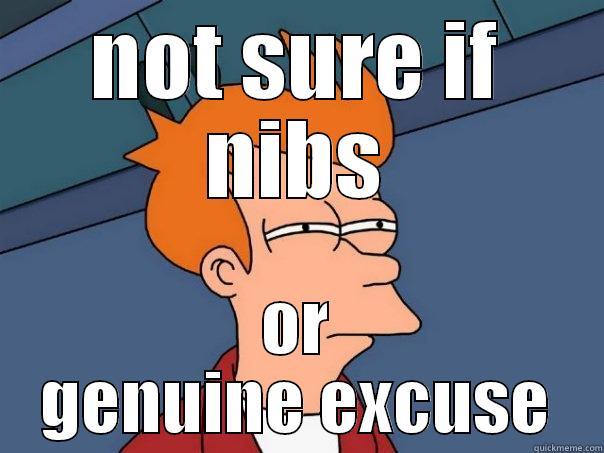 NOT SURE IF NIBS OR GENUINE EXCUSE Futurama Fry