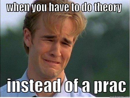 sik meme - WHEN YOU HAVE TO DO THEORY    INSTEAD OF A PRAC 1990s Problems