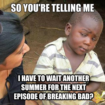 SO YOU'RE TELLING ME I HAVE TO WAIT ANOTHER SUMMER FOR THE NEXT EPISODE OF BREAKING BAD?  So youre telling me