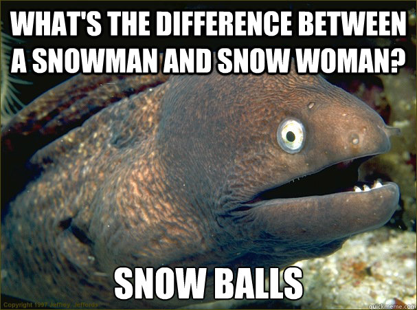 What's the difference between a snowman and snow woman? Snow Balls  Bad Joke Eel