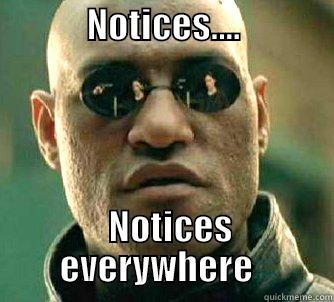             NOTICES....                                    NOTICES EVERYWHERE   Matrix Morpheus