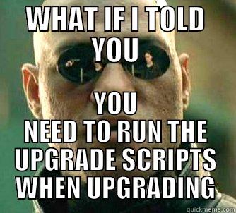 WHAT IF I TOLD YOU YOU NEED TO RUN THE UPGRADE SCRIPTS WHEN UPGRADING Matrix Morpheus