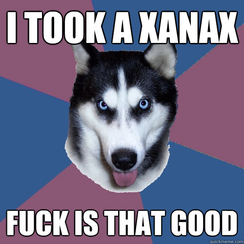 I took a xanax fuck is that good - I took a xanax fuck is that good  Creeper Canine