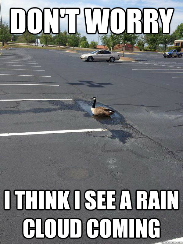 Don't Worry I think I see a rain cloud coming - Don't Worry I think I see a rain cloud coming  Optimistic Goose