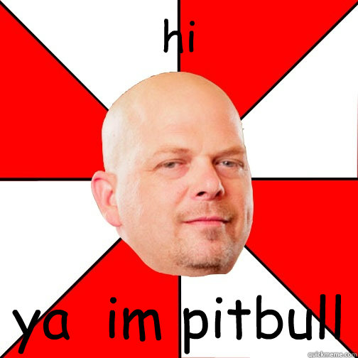 hi  ya  im pitbull  Pawn Star