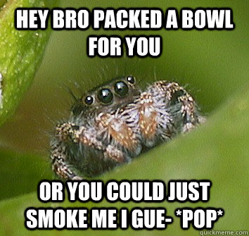 Hey bro packed a bowl for you Or you could just smoke me i gue- *pop* - Hey bro packed a bowl for you Or you could just smoke me i gue- *pop*  Misunderstood Spider