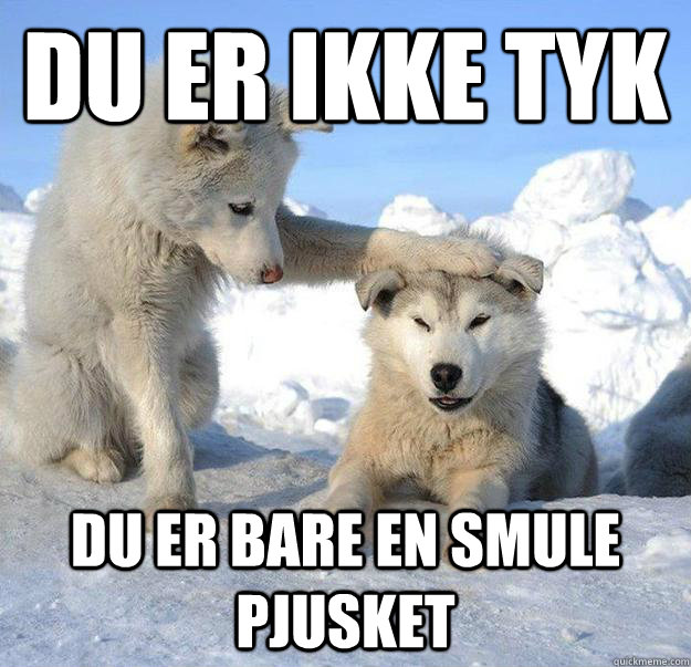 Du er ikke tyk Du er bare en smule pjusket  Caring Husky