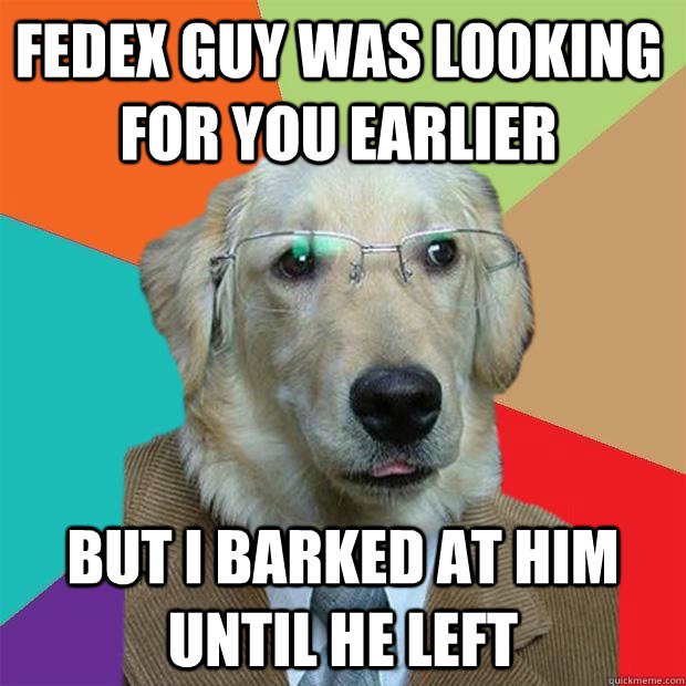 FedEx Guy was looking for you earlier but i barked at him until he left - FedEx Guy was looking for you earlier but i barked at him until he left  Business Dog