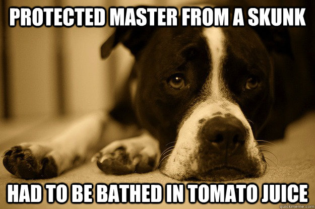 protected master from a skunk had to be bathed in tomato juice  