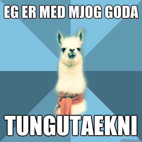 Eg er med mjog goda tungutaekni  Linguist Llama