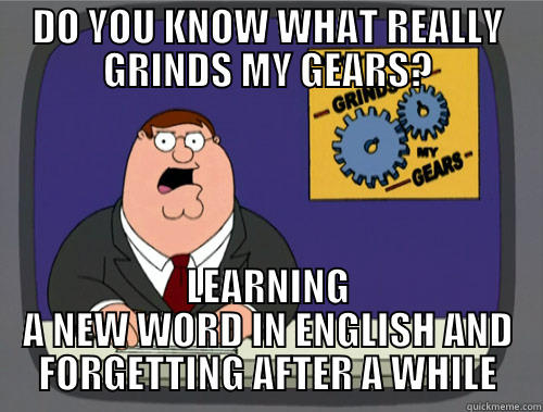 DO YOU KNOW WHAT REALLY GRINDS MY GEARS? LEARNING A NEW WORD IN ENGLISH AND FORGETTING AFTER A WHILE Grinds my gears