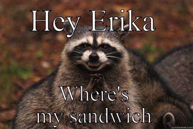 HEY ERIKA WHERE'S MY SANDWICH Evil Plotting Raccoon