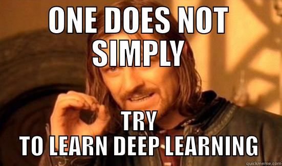 ONE DOES NOT SIMPLY TRY TO LEARN DEEP LEARNING Boromir