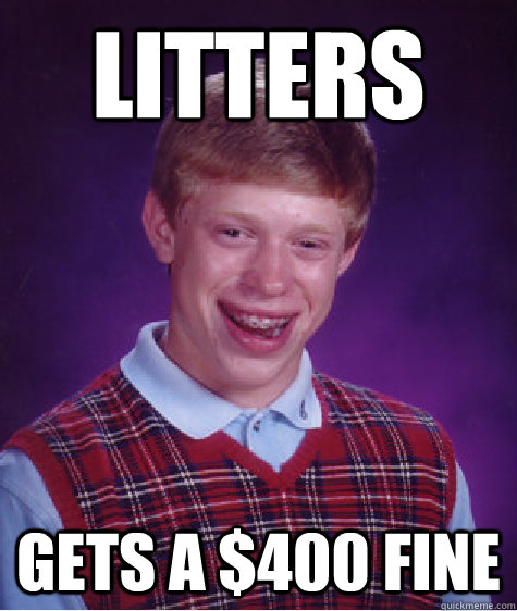 litters gets a $400 fine  Bad Luck Brian