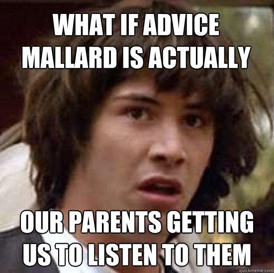 What if advice mallard is actually our parents getting us to listen to them  conspiracy keanu