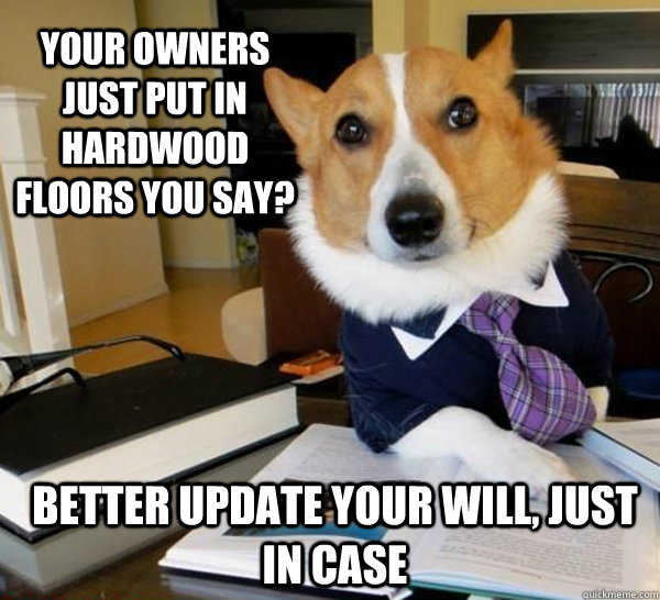 Your owners just put in hardwood floors you say? Better update your will, just in case  Lawyer Dog