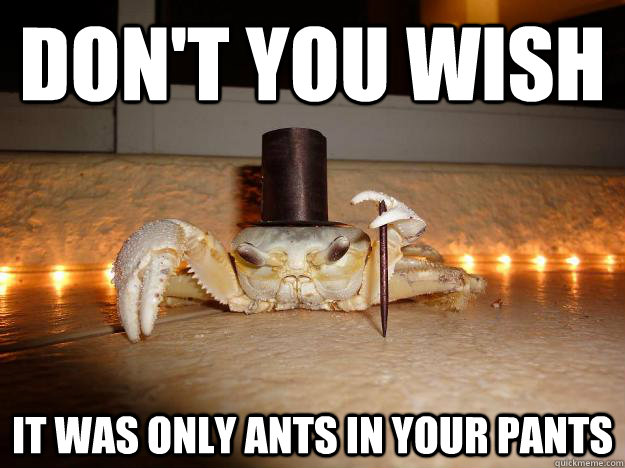 Don't you wish It was only ants in your pants  Fancy Crab