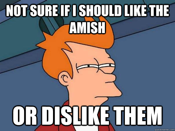 Not sure If I should like the amish or dislike them  Futurama Fry