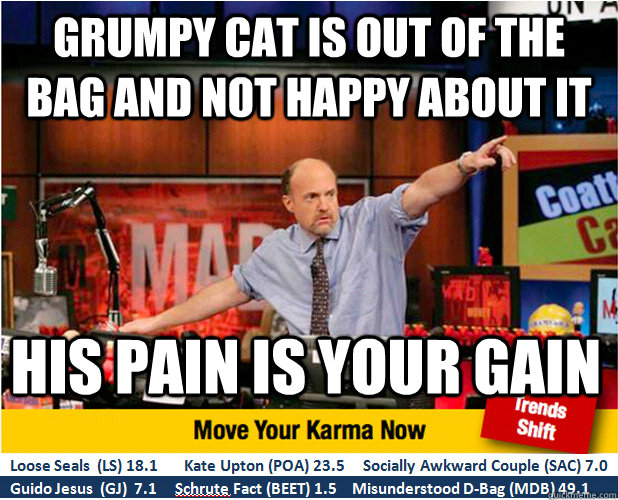 Grumpy cat is out of the bag and not happy about it his pain is your gain  Jim Kramer with updated ticker