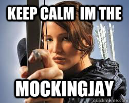 KEEP CALM  IM THE  MOCKINGJAY  NADIA