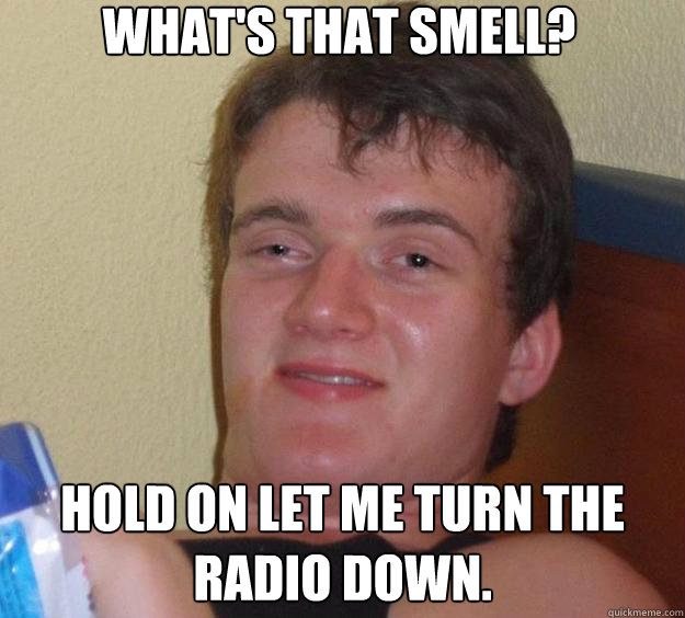 What's that smell? Hold on let me turn the radio down. - What's that smell? Hold on let me turn the radio down.  10 Guy