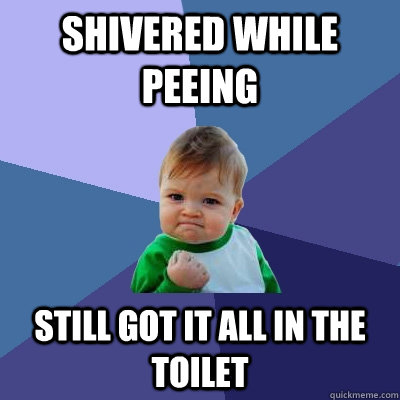 shivered while peeing still got it all in the toilet - shivered while peeing still got it all in the toilet  Success Kid