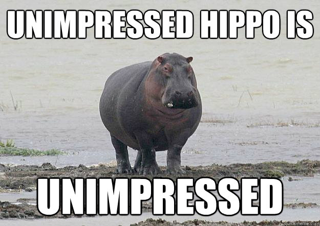 Unimpressed Hippo is unimpressed  