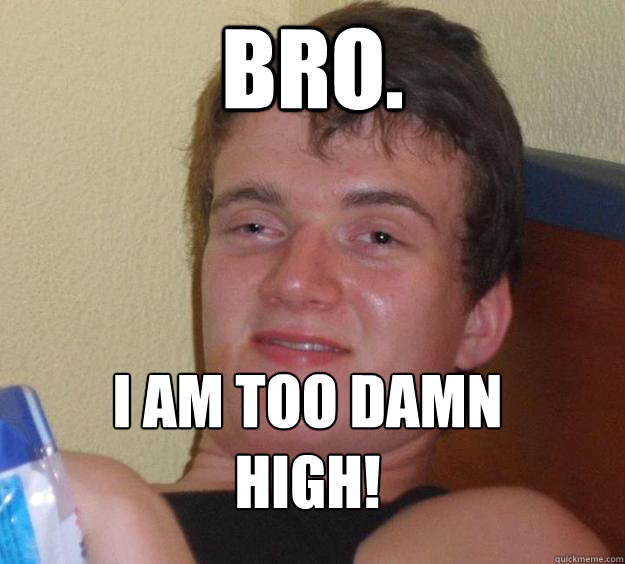 Bro. I am too damn high!
  10 Guy