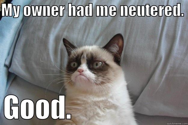 MY OWNER HAD ME NEUTERED.  GOOD.                     Grumpy Cat