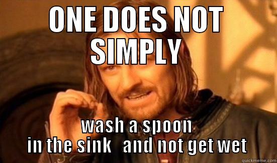 spoon wash - ONE DOES NOT SIMPLY WASH A SPOON IN THE SINK   AND NOT GET WET Boromir