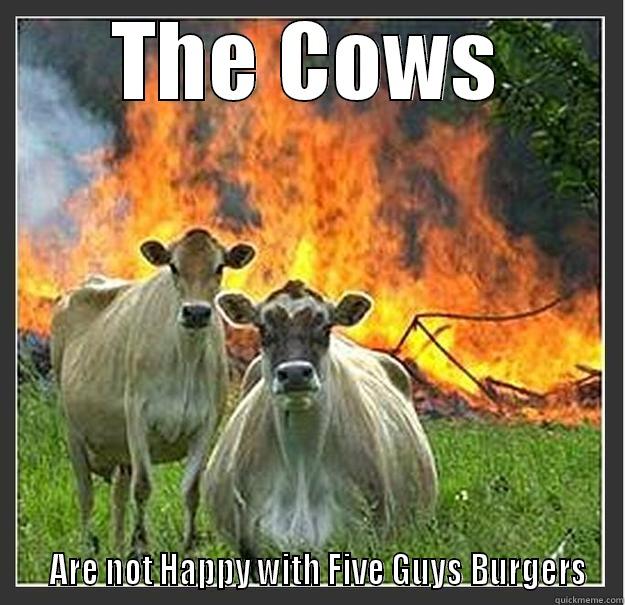 Five Guys - THE COWS    ARE NOT HAPPY WITH FIVE GUYS BURGERS Evil cows