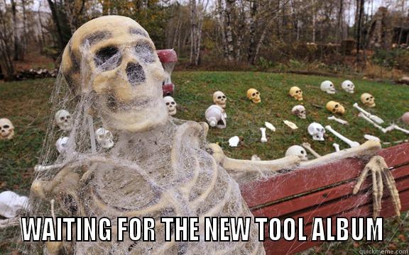  WAITING FOR THE NEW TOOL ALBUM Misc