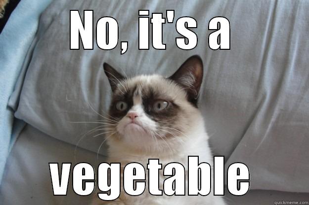 eat your vegetables! they will make you die! - NO, IT'S A VEGETABLE Grumpy Cat