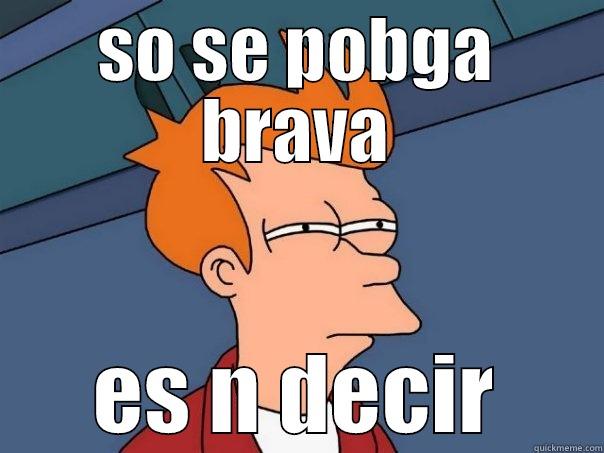 es solo un decir - SO SE POBGA BRAVA ES N DECIR Futurama Fry