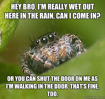 Hey bro, I'm really wet out here in the rain, can I come in? Or you can shut the door on me as I'm walking in the door. That's fine, too. - Hey bro, I'm really wet out here in the rain, can I come in? Or you can shut the door on me as I'm walking in the door. That's fine, too.  Misunderstood Spider