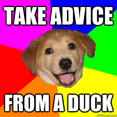 TAKE ADVICE FROM A DUCK - TAKE ADVICE FROM A DUCK  Advice Dog