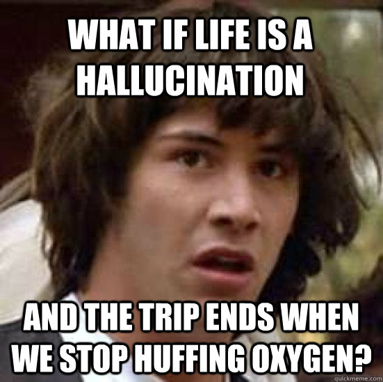 What if life is a hallucination and the trip ends when we stop huffing oxygen?  conspiracy keanu