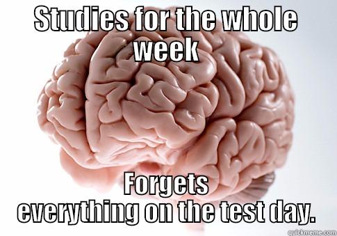 STUDIES FOR THE WHOLE WEEK FORGETS EVERYTHING ON THE TEST DAY. Scumbag Brain