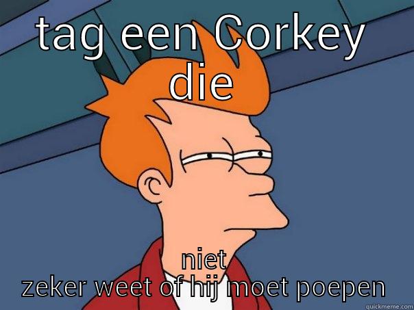 TAG EEN CORKEY DIE NIET ZEKER WEET OF HIJ MOET POEPEN Futurama Fry