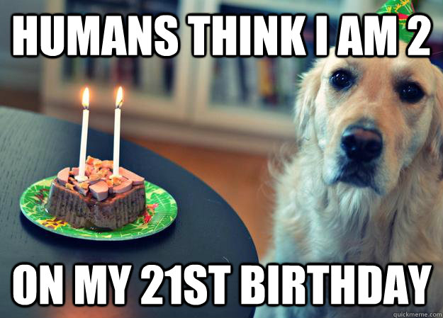 Humans think I am 2 on my 21st birthday  