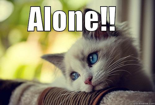 ALONE!!   First World Problems Cat