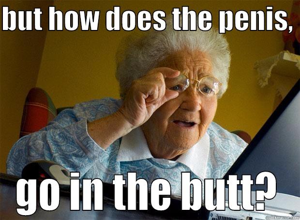 BUT HOW DOES THE PENIS,  GO IN THE BUTT? Grandma finds the Internet