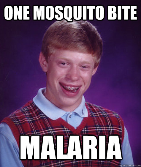 one mosquito bite malaria - one mosquito bite malaria  Bad Luck Brian