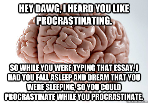 Hey dawg, I heard you like procrastinating. so while you were typing that essay, I had you fall asleep and dream that you were sleeping, so you could procrastinate while you procrastinate.  Scumbag Brain