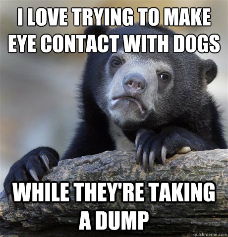 I love trying to make eye contact with dogs while they're taking a dump  Confession Bear