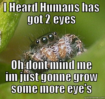 I HEARD HUMANS HAS GOT 2 EYES OH DONT MIND ME IM JUST GONNE GROW SOME MORE EYE'S Misunderstood Spider